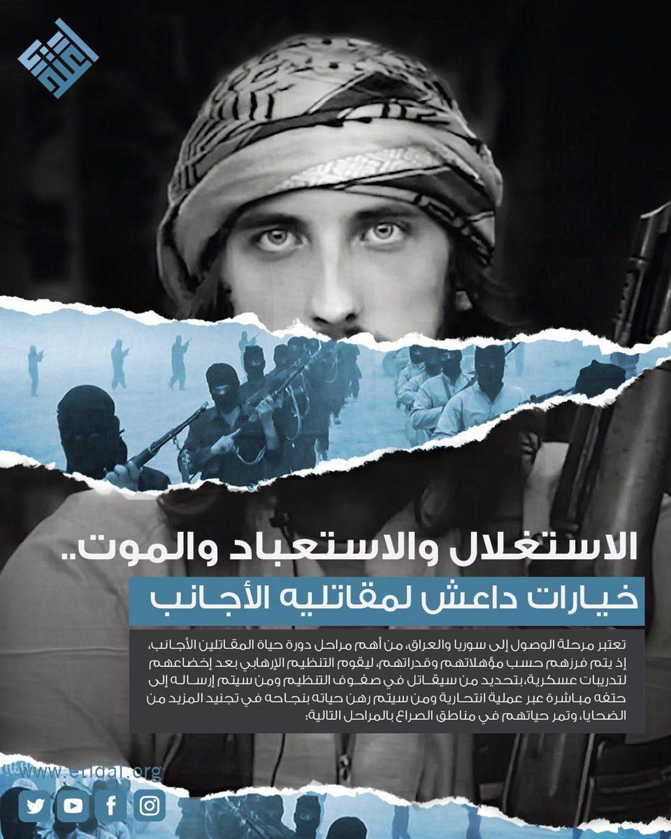 المقاتلون الأجانب